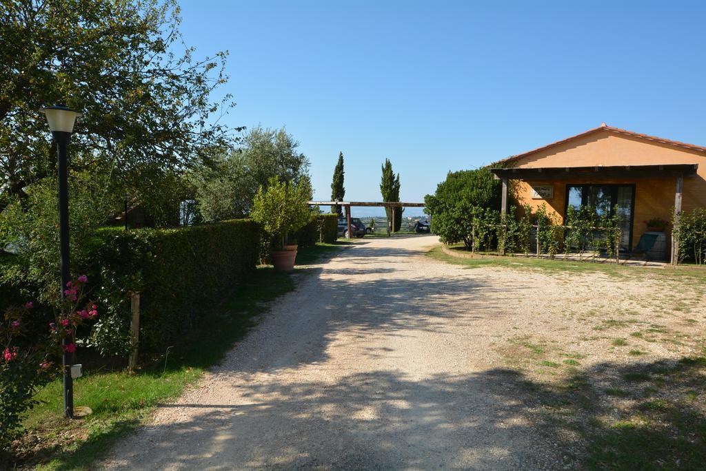 Agriturismo Podere L'Aione Scansano Εξωτερικό φωτογραφία